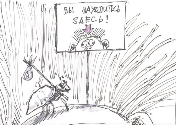 Ядрена вошь