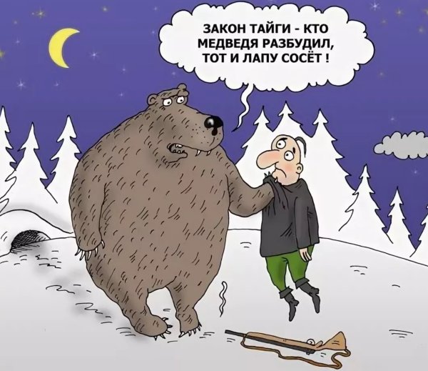 Медведь карикатура