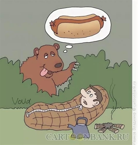 Медведь карикатура