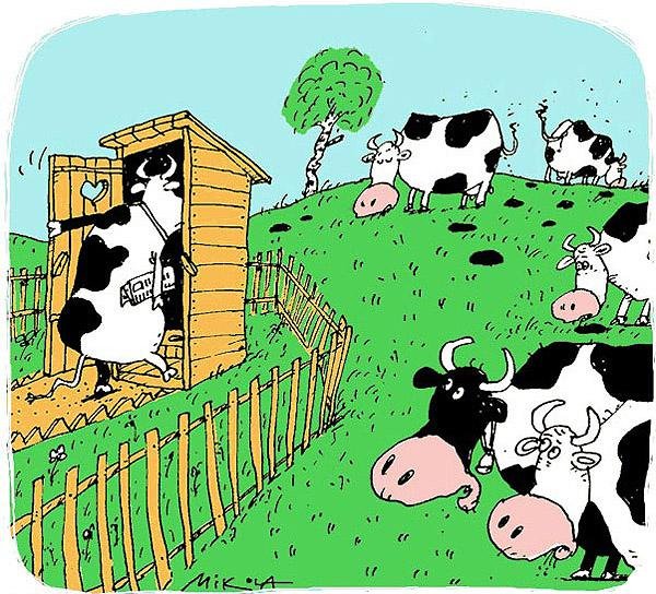 Корова карикатура