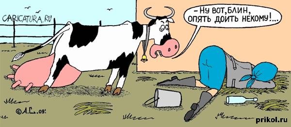Анекдоты про корову смешные