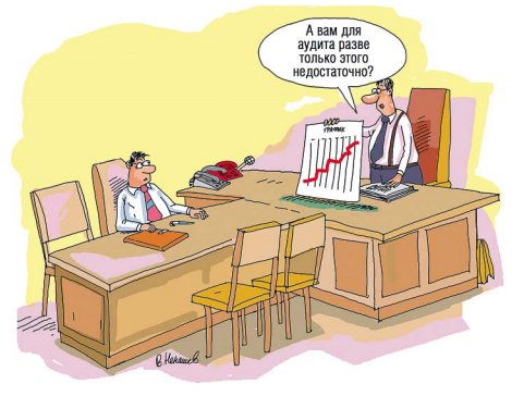 Аудит прикол