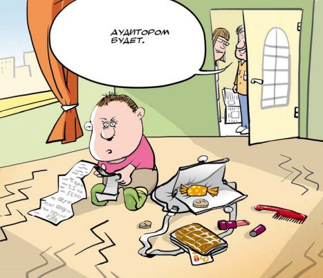 Аудитор карикатура