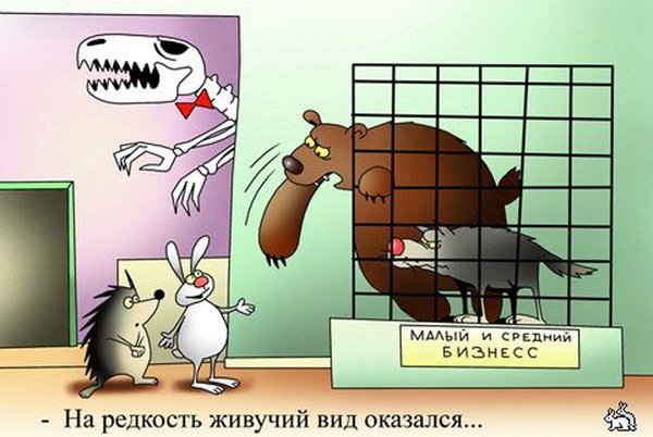 Карикатуры про бизнес