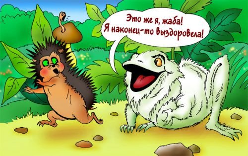 Выздоравливай жаба