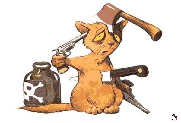 Мем пистолет к голове