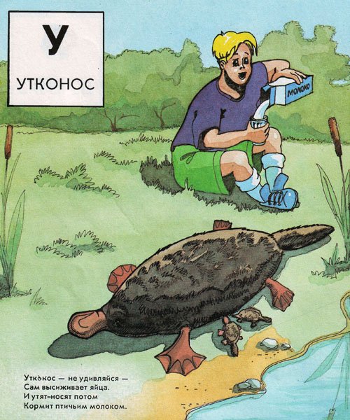 Утконос прикол