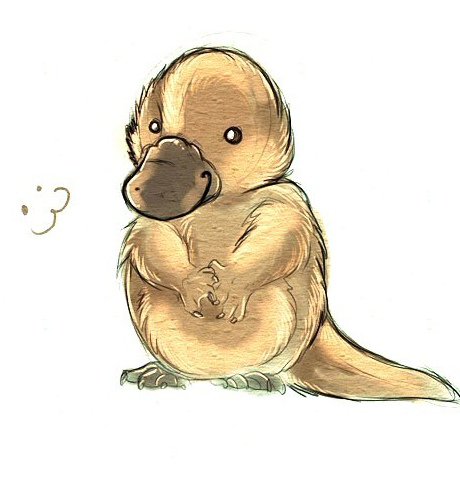 Милый Утконос арт