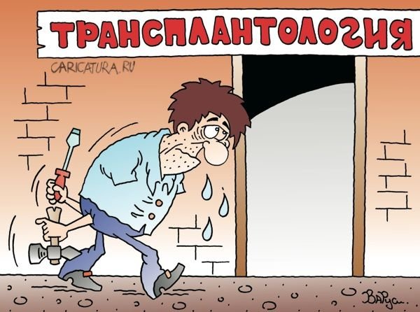 Мастера вызывали карикатура