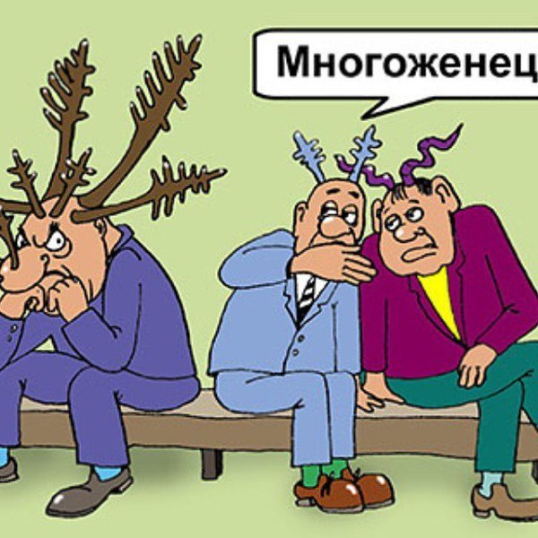 Гарем карикатура