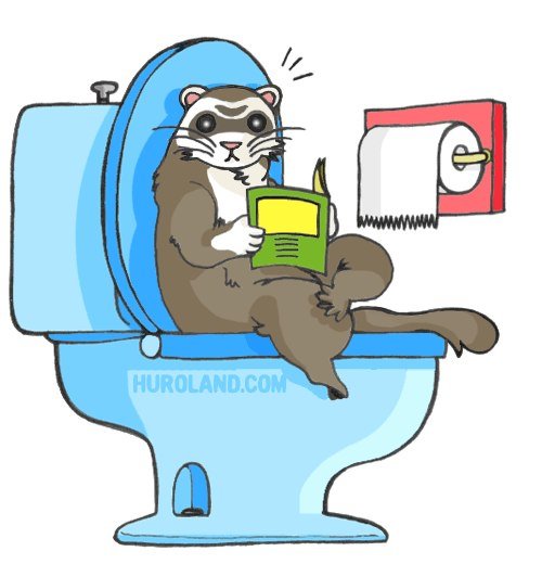 Мышка на унитазе рисунок