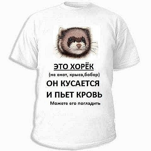 Приколы про хорьков с надписями
