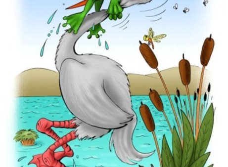 Пеликан карикатура (41 фото)