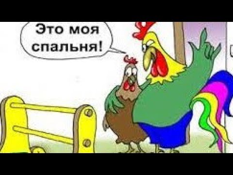 Орел с яйцами карикатура (49 фото)