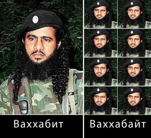 Аль-Каида, и Талибан, взаимоотношения