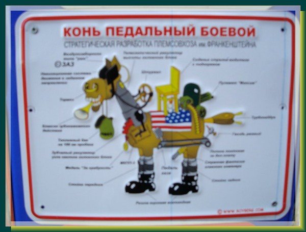 Конь педальный боевой фото