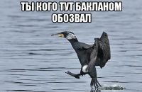 Тупой Баклан