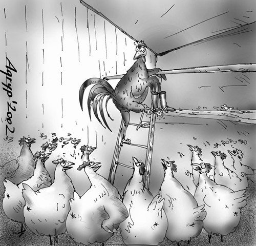 Карикатуры про мужской гарем