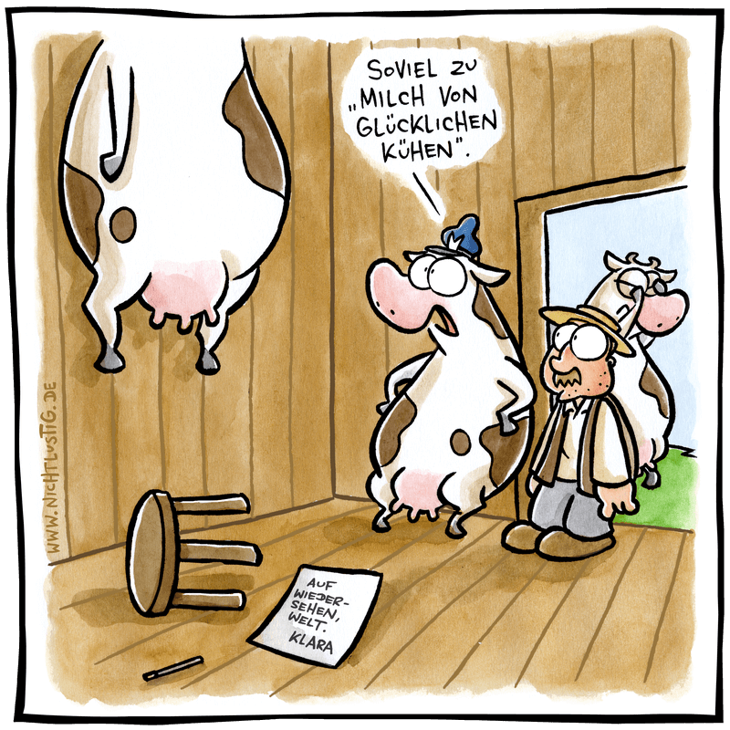 Шутка молоко. Шутки про ферму. Шутки про коров. Корова карикатура. Молоко карикатура.