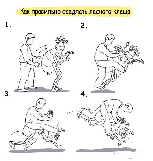 Уроки самообороны