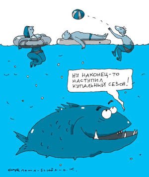 Анекдот про камбалу и кита