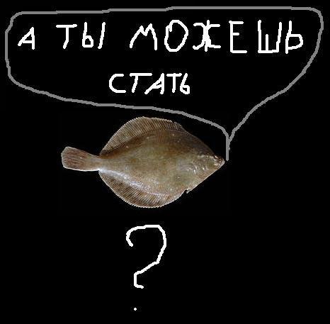 Смешная камбала