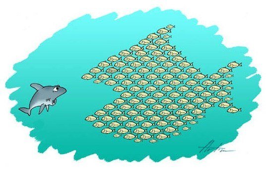 Вместе мы сила