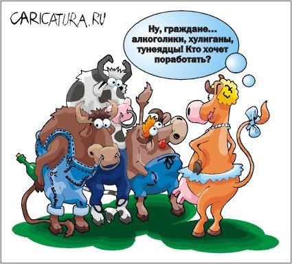 Карикатура Доброволец