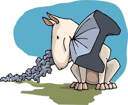 Радужный бультерьер