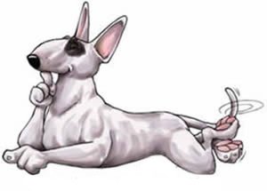 Бультерьер карикатура (45 фото)