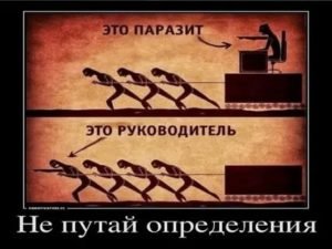 Начальник паразит