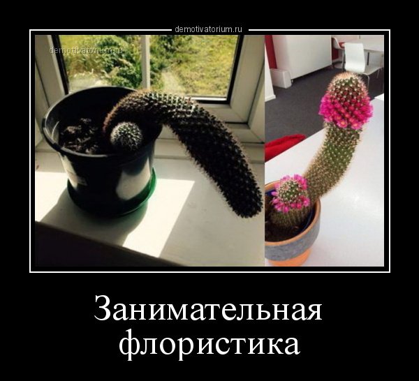 Портной иллюстрация