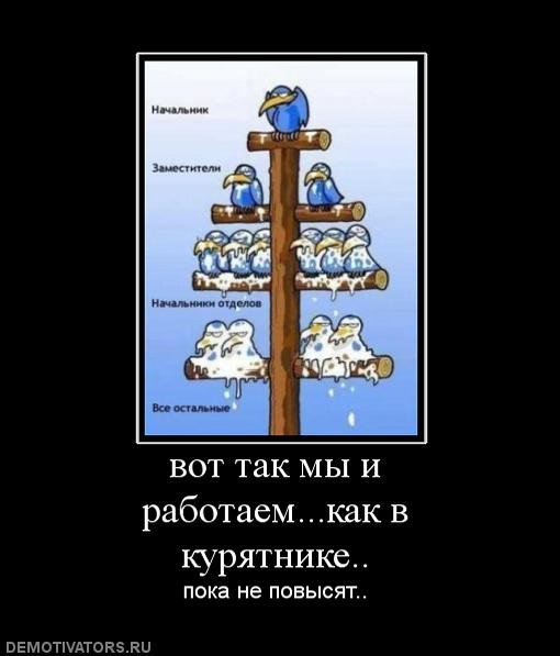 Начальство и подчиненные