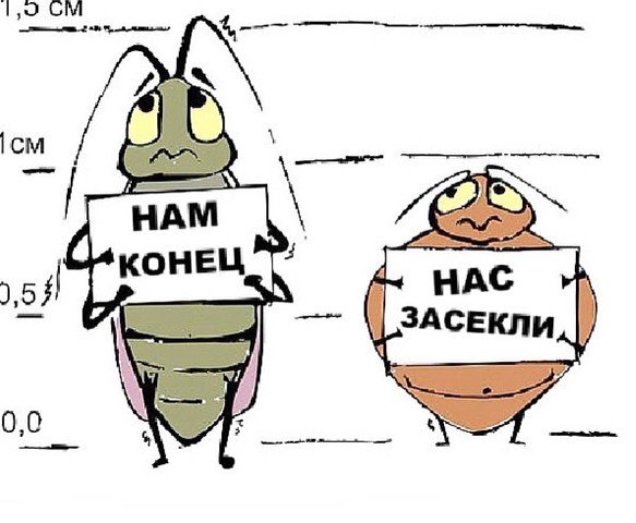 Насекомые карикатура рисунок