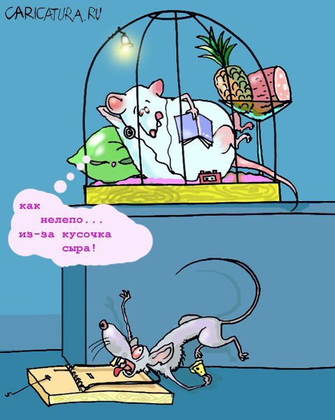 Шутки про мышку