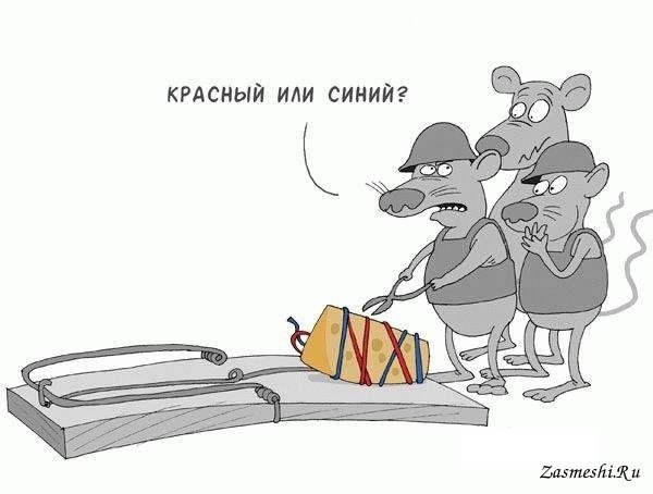 Мышь карикатура