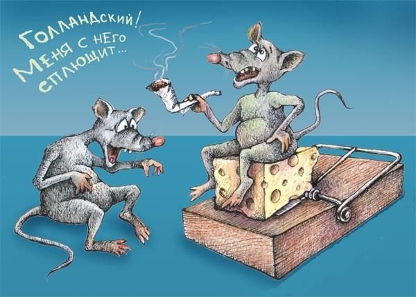 Мышь юмор