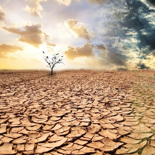 Засуха рисунок карандашом