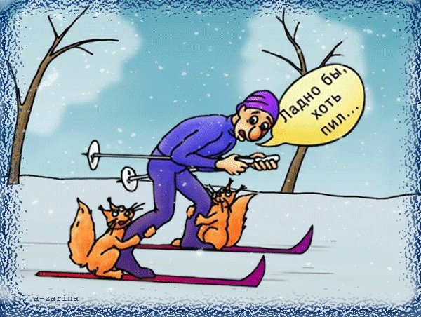 Лыжи прикол