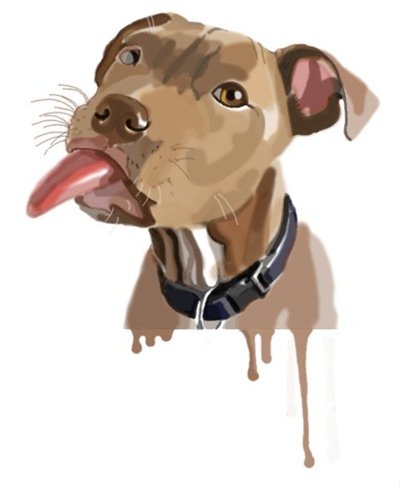 Питбуль арт милый