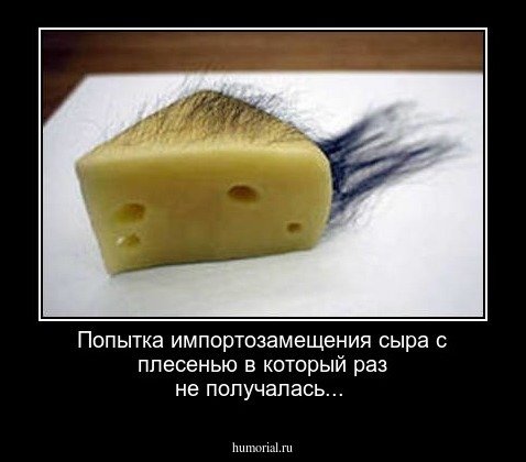 Волосатый сыр