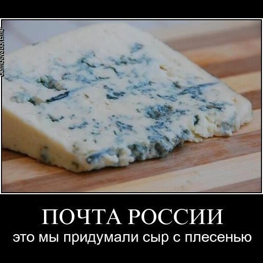 Сыр с плесенью юмор