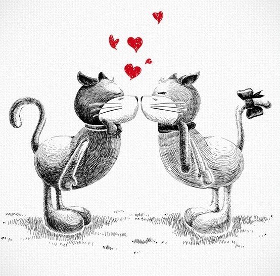 Влюбленные котики рисунок