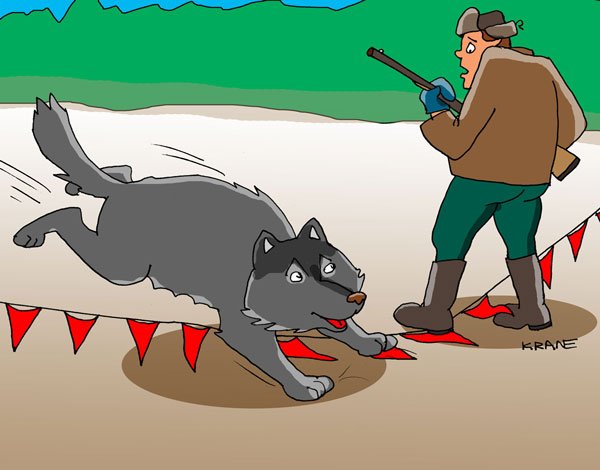 Игорь Кийко карикатуры жертва