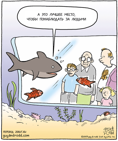 Аквариум карикатура