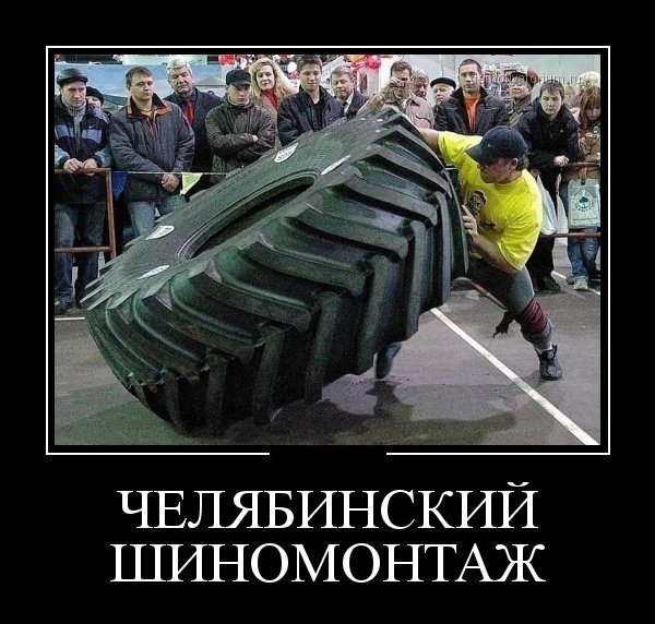 Шины смешные