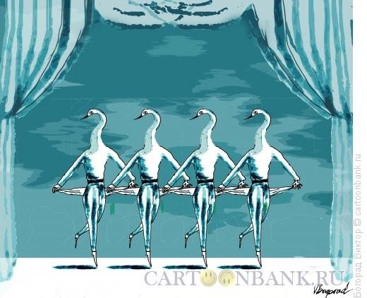 Лебединое озеро смешное