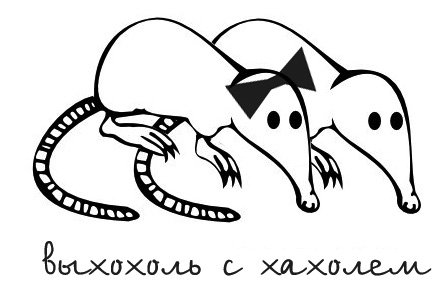 Выхухоль приколы