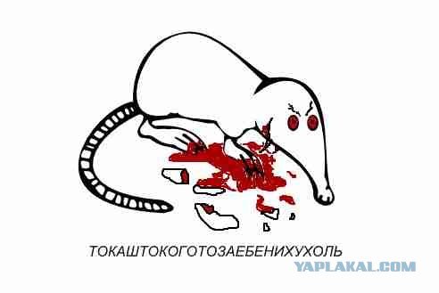 Грустная выхухоль