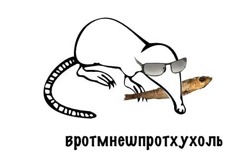 Выхухоль приколы